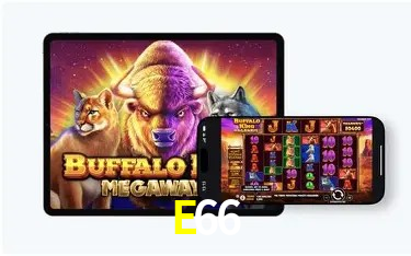 E66 Bet